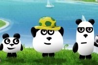 3 Pandas in Brasilien 3 Pandas in Brasilien