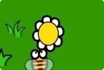 Blumenwiese 2 Blumenwiese 2