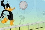 Daffy Volleyball Daffy Volleyball