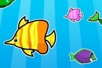 Fisch Memory Fisch Memory