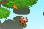 Fluffy der Hase Fluffy der Hase