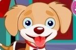 Freundlicher Hund Freundlicher Hund