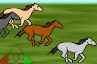 Horse Betting Horse Betting