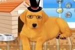 Hund ankleiden 2 Hund ankleiden 2