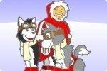 Husky Rennen Husky Rennen