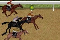 Jockey Horse Race Jockey Horse Race
