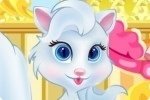 Katzenprinzessin umsorgen Katzenprinzessin umsorgen