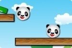 Pandabär Freunde Pandabär Freunde