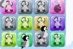 Pinguine Rettern Pinguine Rettern