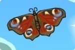 Raupe und Schmetterling Raupe und Schmetterling
