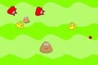 Rette die Pou's Rette die Pou's