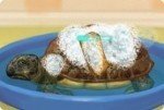 Schildkröte versorgen Schildkröte versorgen
