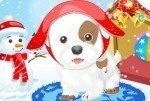 Schneehund Schneehund
