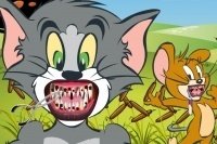 Tom und Jerry Zahnarzt Tom und Jerry Zahnarzt