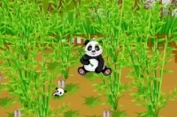 Panda Bauernhof